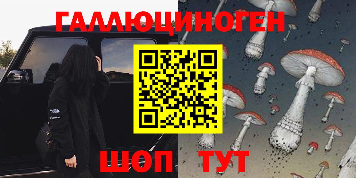 Галлюциногенные грибы Psilocybe  Вход с VPN  Дюртюли 