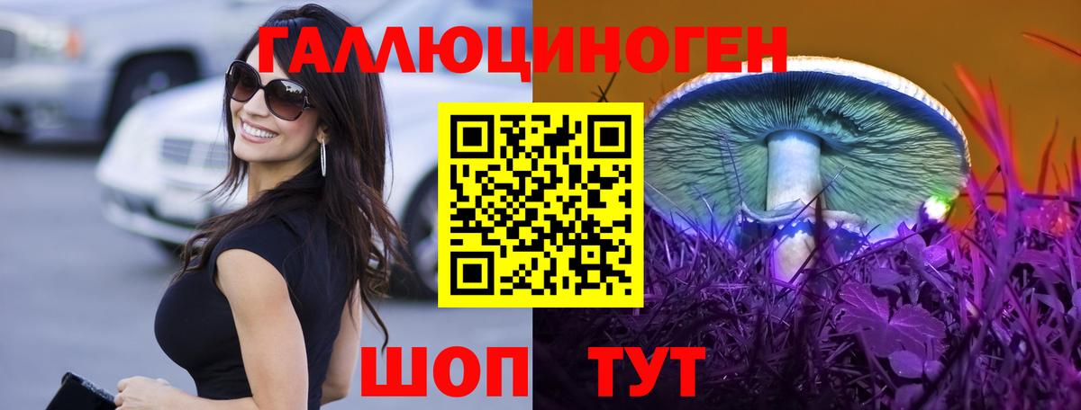 Псилоцибиновые грибы Psilocybine cubensis Дюртюли
